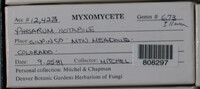 Image Associated With the Occurence